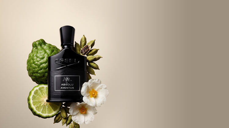 Absolu Aventus
