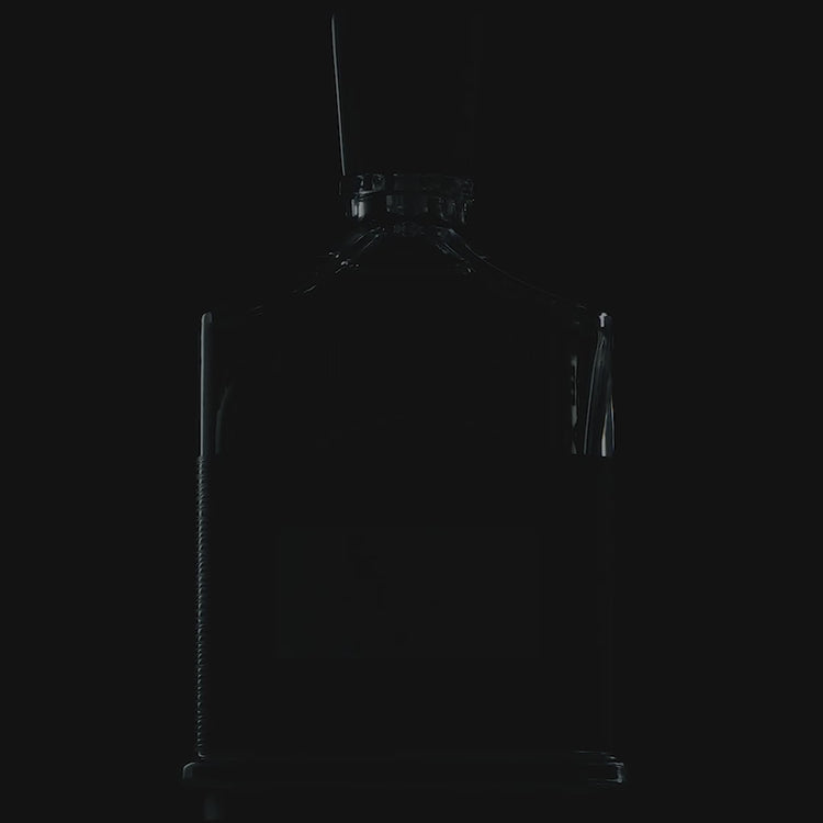 Absolu Aventus